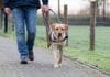Met hulphond beter leven