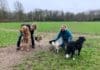 Losloopgebied honden blijft toch