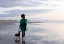 Noord-Holland in top echtscheidingen