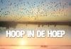 Docu over Ronde Hoep in Cinema
