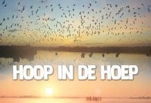 Docu over Ronde Hoep in Cinema