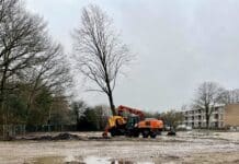 Drie bomen 50 meter verplaatst