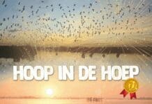 Recordbezoek Cinema Amstelveen