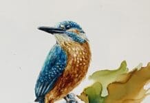 Expositie Esra Ustundag bij SAKB