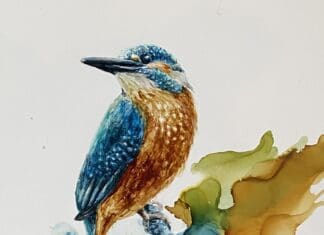 Expositie Esra Ustundag bij SAKB