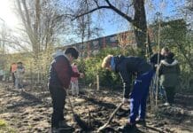 School ‘Omnibus’ zet bomen terug