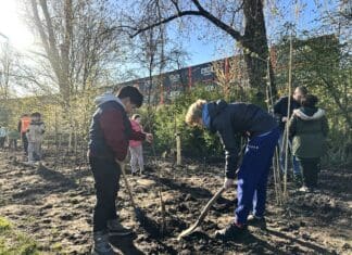 School ‘Omnibus’ zet bomen terug