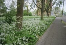 Minder maaien in mei