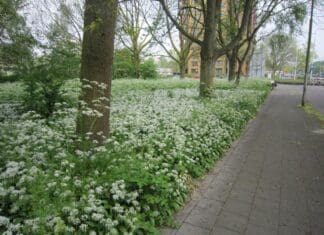 Minder maaien in mei