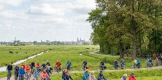 Lokale editie van beweegweek ouderen