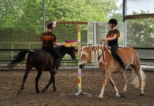 Ponymanege houdt open dag