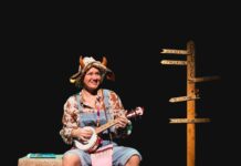 Kindervoorstelling in Openluchttheater